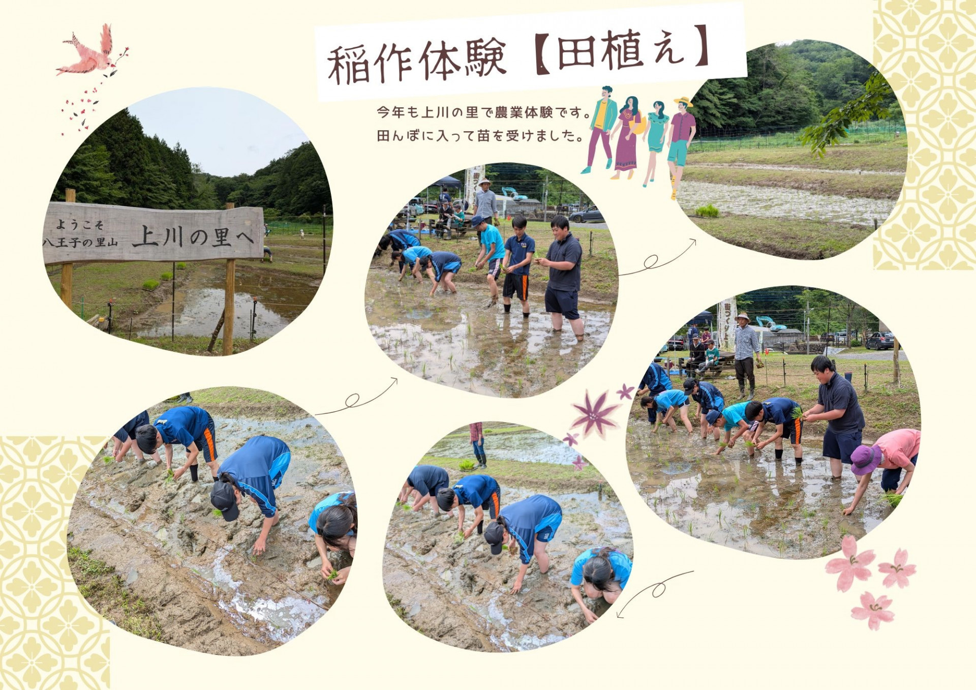 稲作体験 田植え